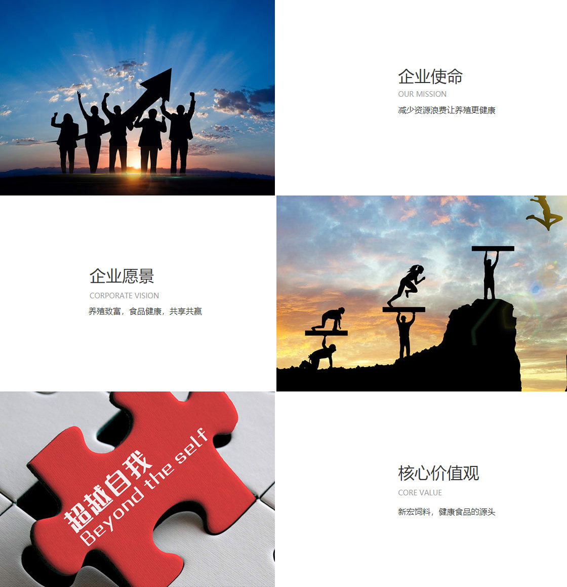bv伟德(图1)